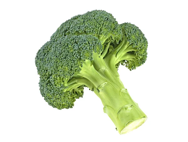 Broccoli isolerad på en vit bakgrund. Hälsosam mat. — Stockfoto