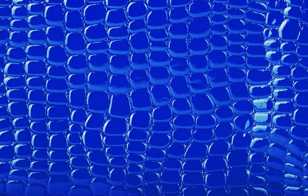 Wzór niebieskiej skóry krokodyla dla tła — Zdjęcie stockowe