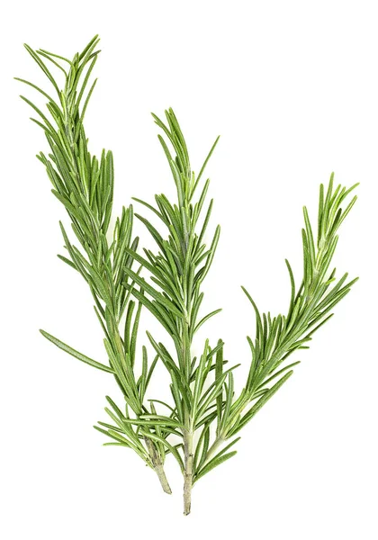 Fresh rosemary isolated over white background, top view. — Stock Photo, Image