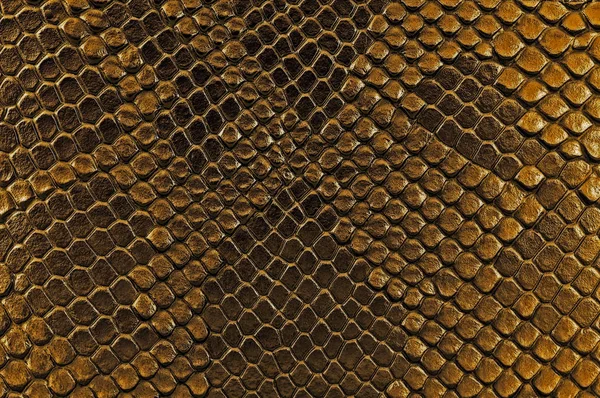 Brown snake skin, as background. Reptile. — Stock Photo, Image