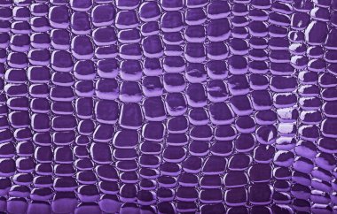 Menekşe timsah derisi doku, yakın çekim. Soyut arka plan.