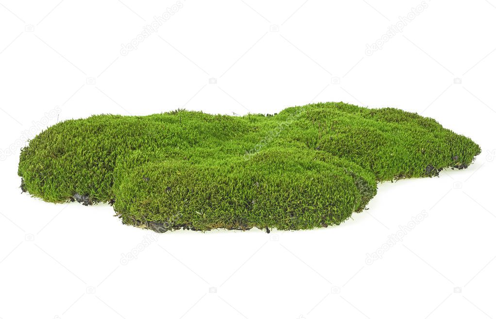 Green mossy hill isolated on white background. Full depth of fie