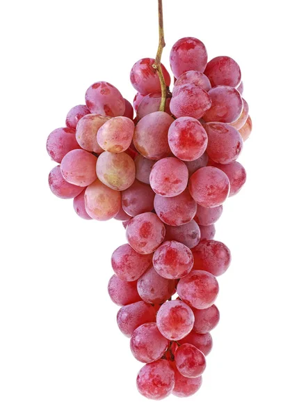 Bando de uvas vermelhas frescas isoladas num fundo branco — Fotografia de Stock