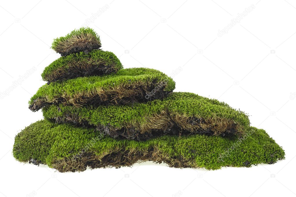 Green mossy hill on a white background. Moss pyramid.