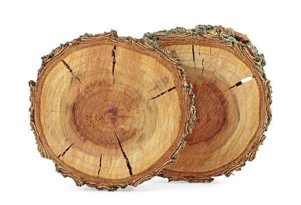 Textura de madera de albaricoque. Rodajas de árboles con anillos de crecimiento aislados en —  Fotos de Stock