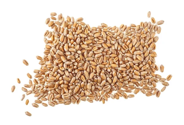 Pšeničná zrna izolovaných na bílém pozadí, pohled shora. — Stock fotografie