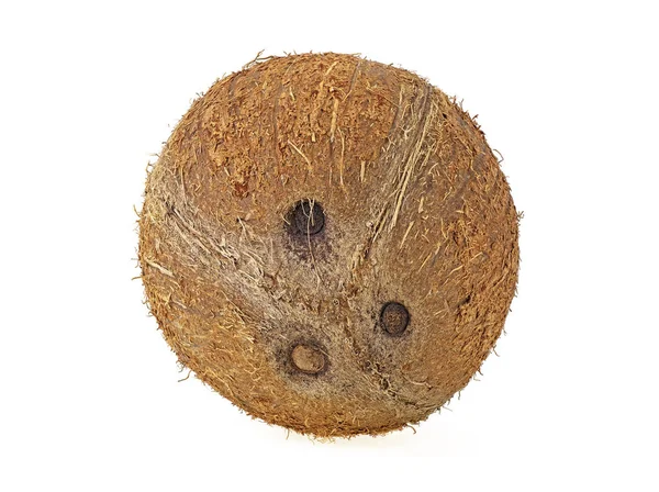 Tropisch fruit kokos geïsoleerd op een witte achtergrond — Stockfoto