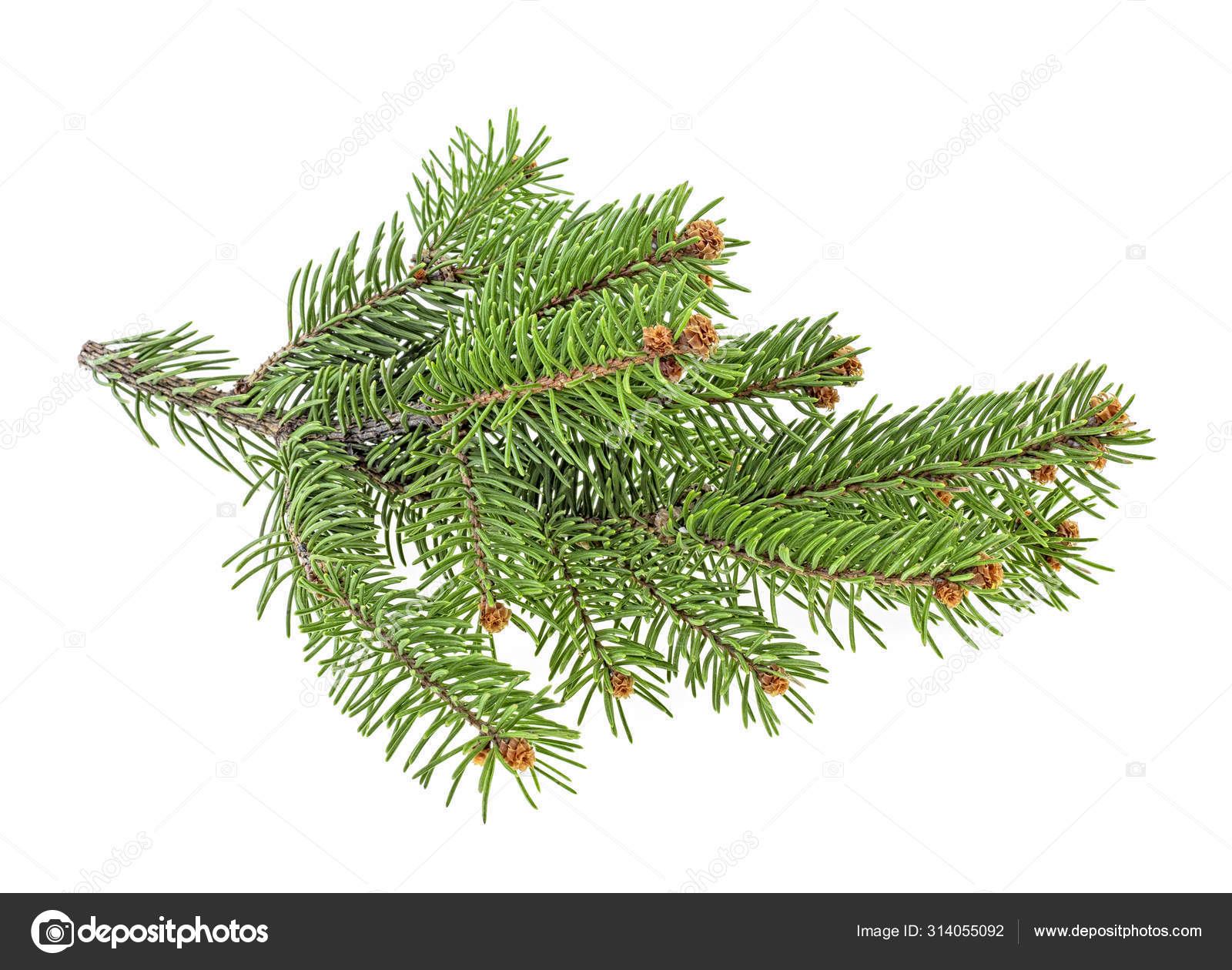 Rama De Abeto Artificial HANNELORE, 30cm