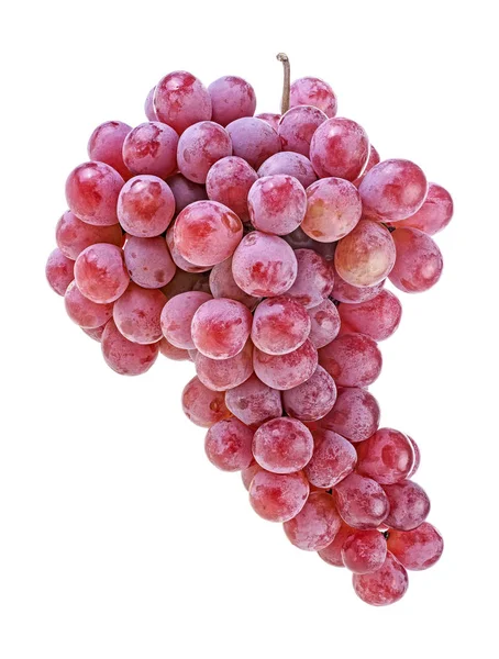 Букет свіжого стиглого соковитого винограду ізольований на білому тлі — стокове фото