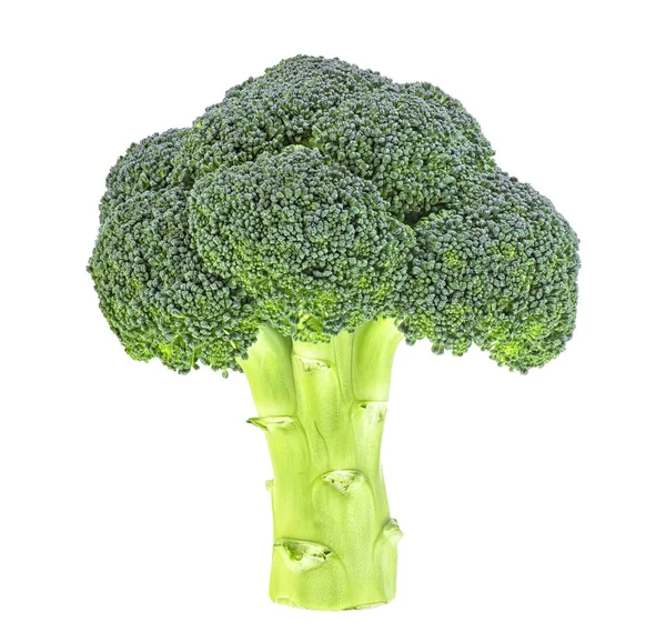 Olgun Brokoli Lahanası Beyaz arka planda izole edilmiş — Stok fotoğraf