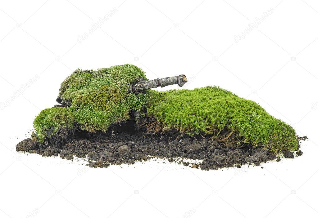 Green moss on pile of soil isolated on a white background
