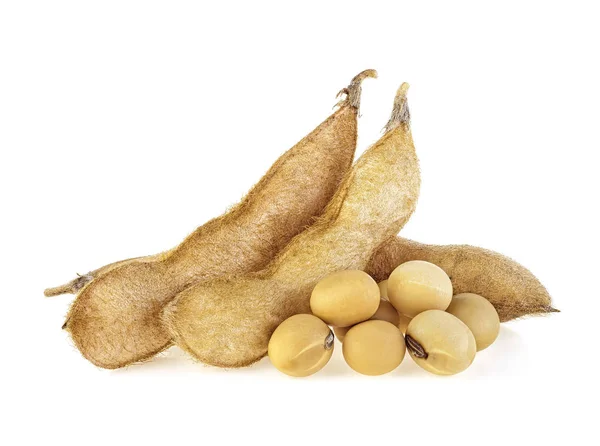 Soya fasulyesi kabukları beyaz arka planda izole edilmiş. Hiya için protein bitkisi