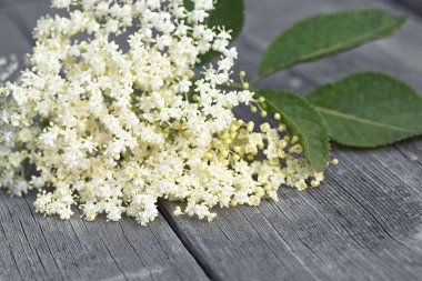 Tahta bir masanın üzerinde çiçek ve yaprak yaprakları. Sambucus.