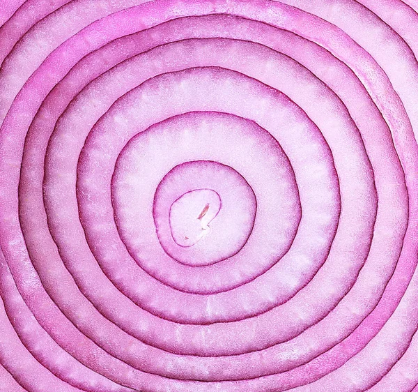 Violette Zwiebelscheibe Als Hintergrund Draufsicht Rote Zwiebelringe Scheiben Geschnitten — Stockfoto