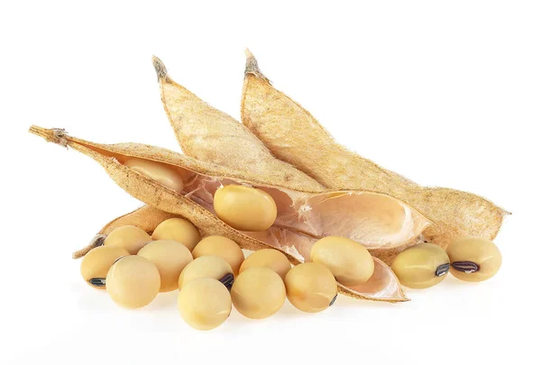 Soybean Pods Beans White Background Dried Soya Beans — Stock Photo, Image