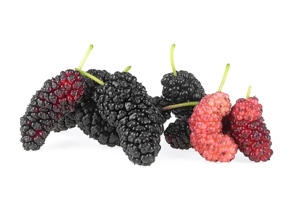 Mulberries Fruit Isolated White Background Pile Healthy Mulberry Fruit — Stock Photo, Image