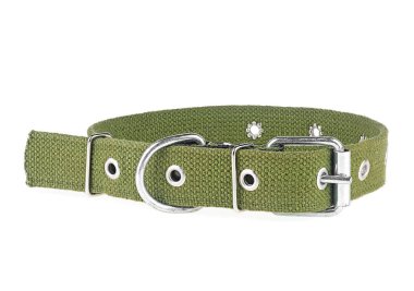 Köpek tasması beyaz arka planda izole edilmiş. Yeşil köpek tasması.