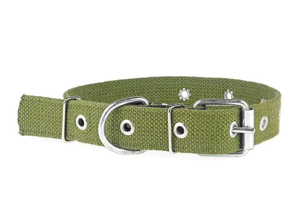 Hondenhalsband Geïsoleerd Een Witte Achtergrond Groene Hondenhalsband — Stockfoto