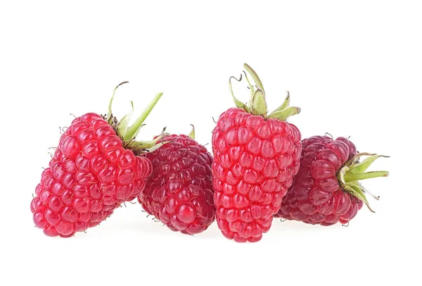 Ripe Raspberries Isolated White Background Four Raspberries Isolated — Stock Photo, Image