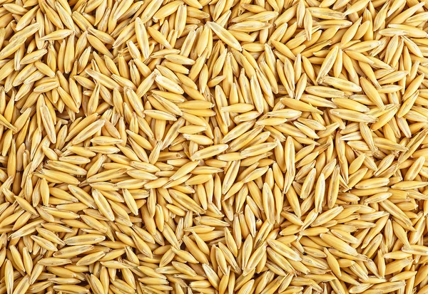 Background of oat grains. Healthy eating. Natural oat grains background.