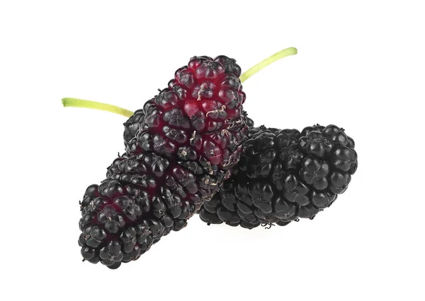 Juicy Ripe Mulberries Isolated White Background Two Fresh Mulberries — Stock Photo, Image