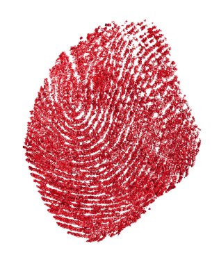 Beyaz bir kağıtta kırmızı parmak izi. Beyaz arka planda kanlı parmak izleri. İzle. Makro.