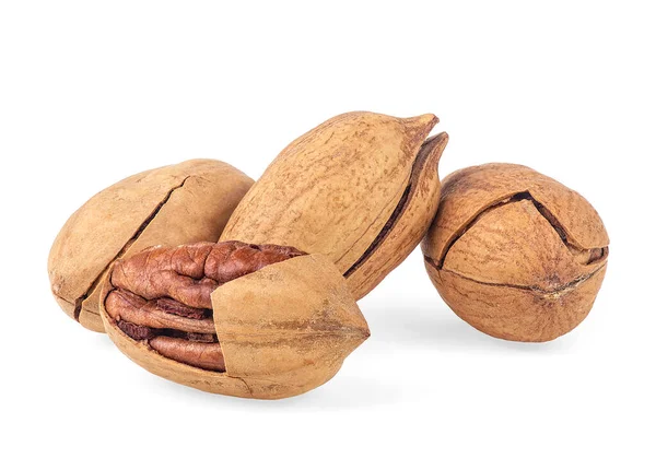 Pecan Nuts Isolated White Background Carya Illinoinensis — Stock Photo, Image