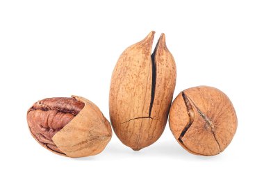 Beyaz bir arka planda yalnız fındık. Fındık ezmesi..