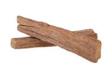 Sandal ağacı beyaz arka planda izole bir şekilde duruyor. Chandan veya sandal ağacı.