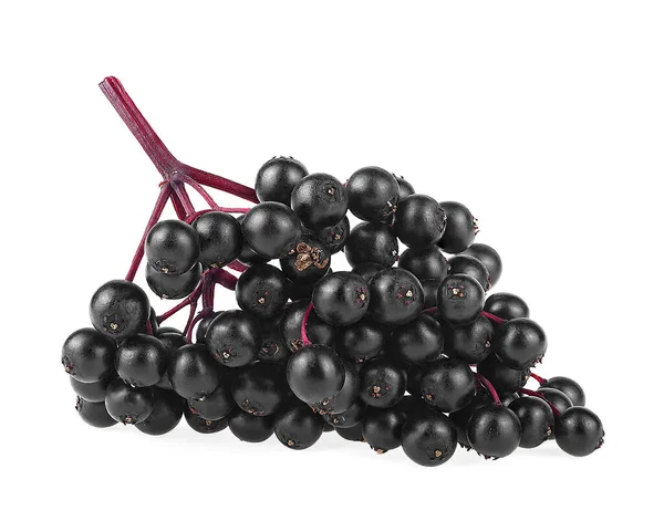 老浆果 枝条上的黑莓 背景为白色 桑巴科斯 — 图库照片