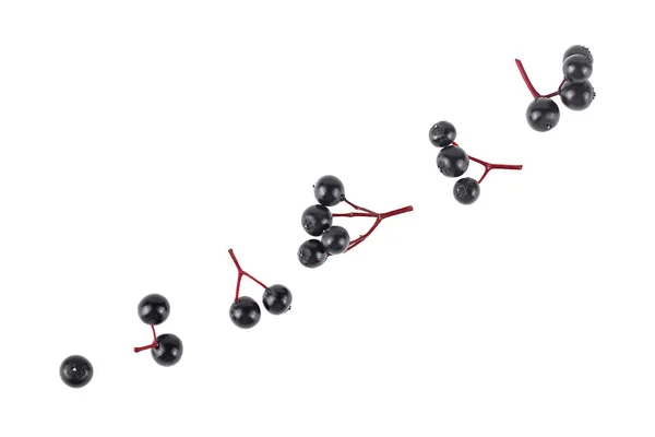 新鮮な高齢者の果実は白い背景 トップビューに隔離されています サンブカスだ ブラック エルダーベリー — ストック写真
