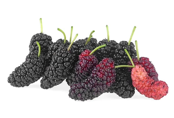Mulberry Fruit Closeup Freshness Mulberry Fruits Isolated White Background — Stock Photo, Image