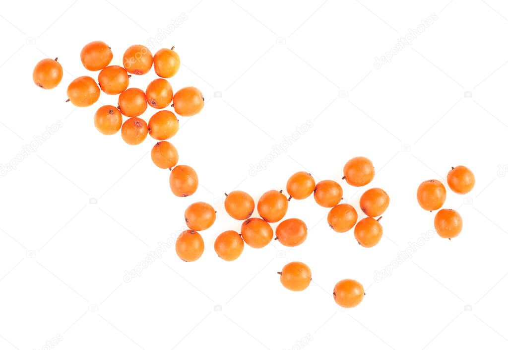 Fresh berries of sea buckthorn isolated on a white background, top view.