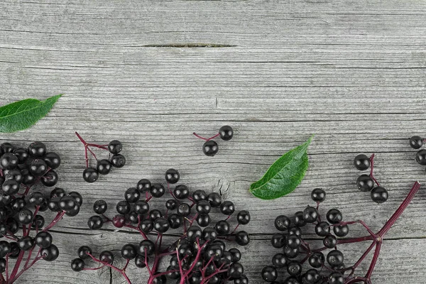 Fresh Elderberry Green Leaves Wooden Background Elder Plant Berries European — Stock Photo, Image