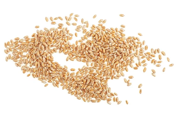 Зерна Пшеницы Изолированы Белом Фоне Вид Сверху Семена Пшеницы Ядра — стоковое фото