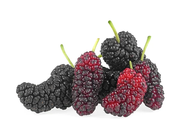 Mulberry Fruit Closeup Freshness Mulberry Fruits Isolated White Background — Stock Photo, Image