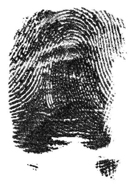 Отпечаток Чернил Выделен Белом Фоне Отпечатки Пальцев Полиции — стоковое фото