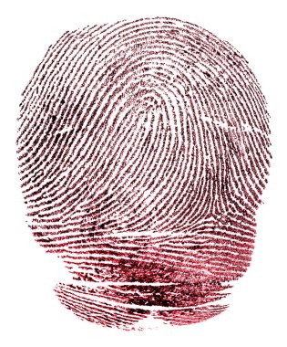 Beyaz arka planda izole edilmiş renkli parmak izi kalıbı, üst görünümde. Mürekkep parmak izi.