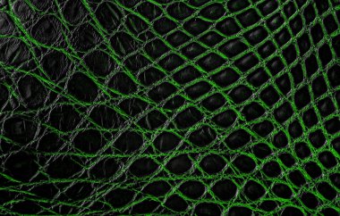 Arka plan olarak doğal timsah derisi, yeşil renk. Timsah derisinin dokusu.