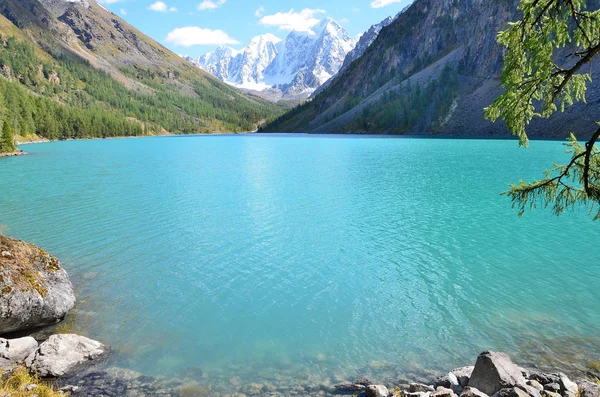 Grande Lago Shavlinskoe Montagne Altai Russia — Foto Stock