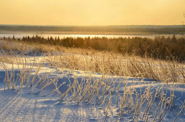 Rosja Wschód Słońca Nad Rzeka Onega Zimie — Zdjęcie stockowe