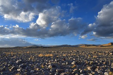 Batı Tibet. Kutsal Gölü Dangra (Dang Ra Gyu Tso) bulutlu havalarda yaz akşamları kıyısında