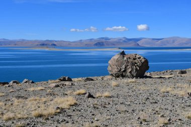 Doğal geoglyph - efsanevi yaratık tarihlerde Sfenks'in kutsal Tibet Gölü Teri Tashi Nam tso kıyısında