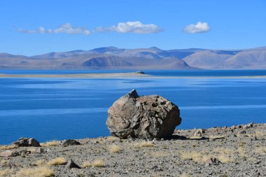 Doğal geoglyph - efsanevi yaratık tarihlerde Sfenks'in kutsal Tibet Gölü Teri Tashi Nam tso kıyısında