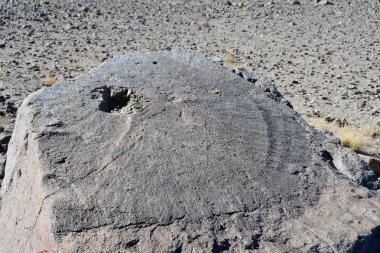 Yarım daire şeklindeki taş kutsal Tibet Gölü kıyısında bir delikle Teri Tashi Namtso