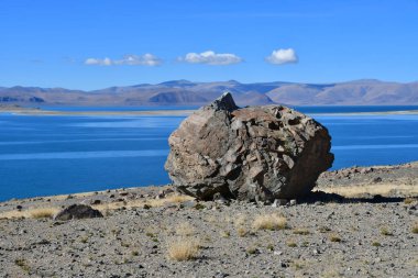 Doğal geoglyph - efsanevi yaratık tarihlerde Sfenks'in kutsal Tibet Gölü Teri Tashi Nam tso kıyısında