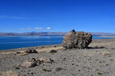 Doğal geoglyph - efsanevi yaratık tarihlerde Sfenks'in kutsal Tibet Gölü Teri Tashi Nam tso kıyısında