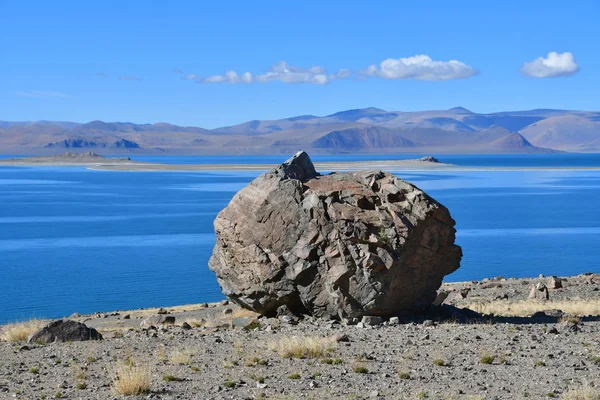 Doğal geoglyph - efsanevi yaratık tarihlerde Sfenks'in kutsal Tibet Gölü Teri Tashi Nam tso kıyısında
