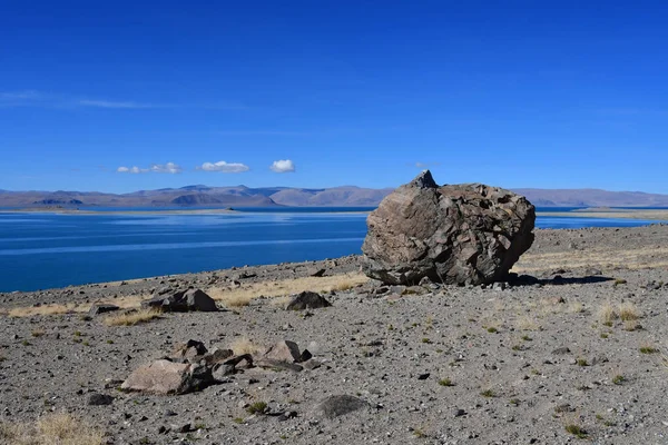 Doğal geoglyph - efsanevi yaratık tarihlerde Sfenks'in kutsal Tibet Gölü Teri Tashi Nam tso kıyısında