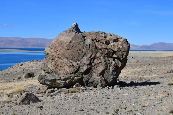 Doğal geoglyph - efsanevi yaratık tarihlerde Sfenks'in kutsal Tibet Gölü Teri Tashi Nam tso kıyısında